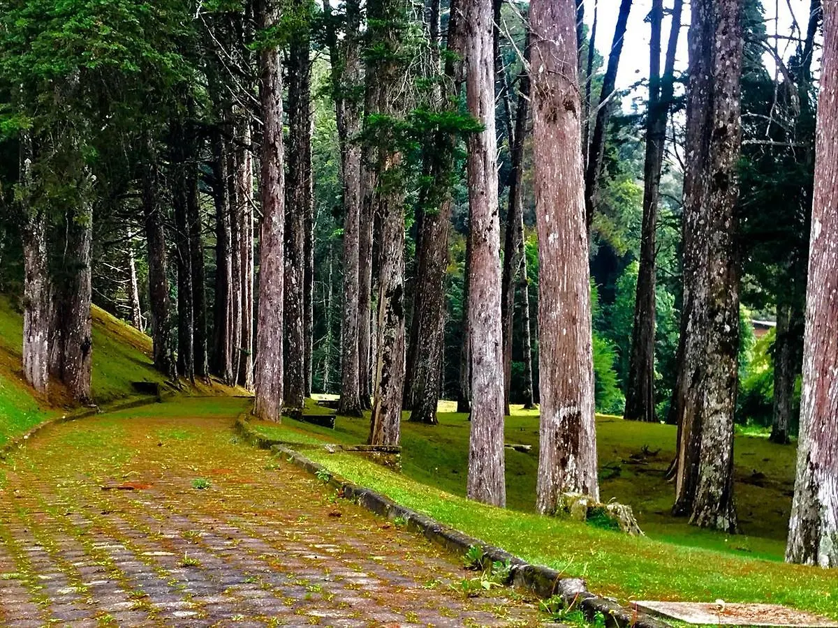 Hotel Platanus Campos do Jordao 3*,