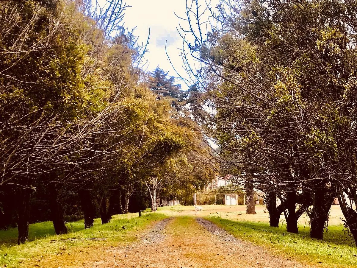 Hotel Platanus Campos do Jordao