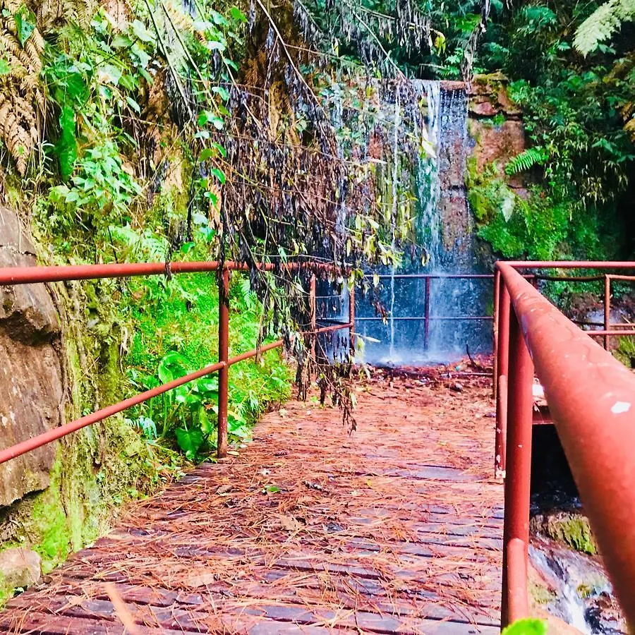 Hotel Platanus Campos do Jordao