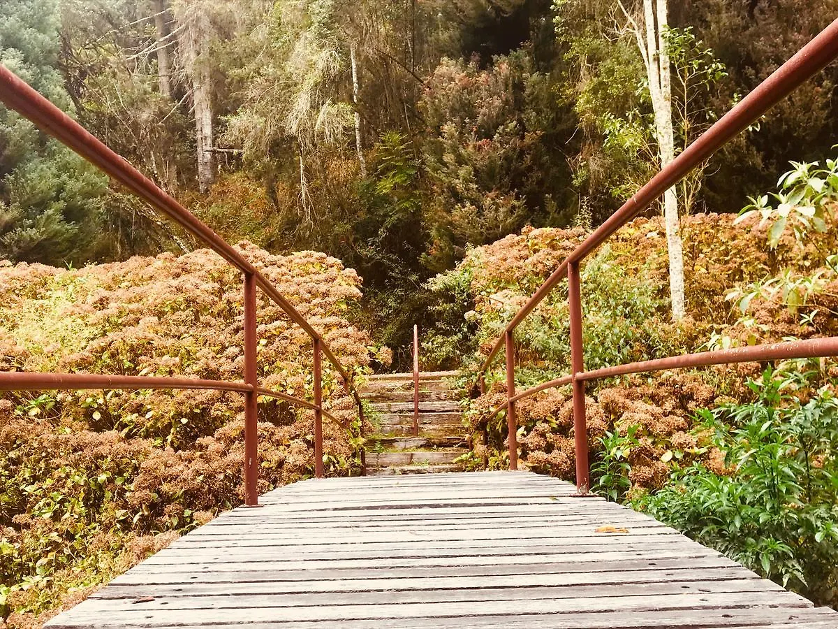 Hotel Platanus Campos do Jordao