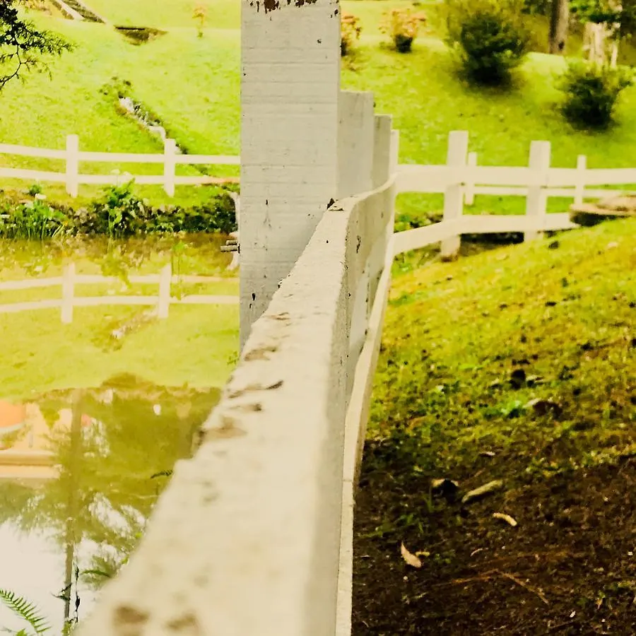 Hotel Platanus Campos do Jordao