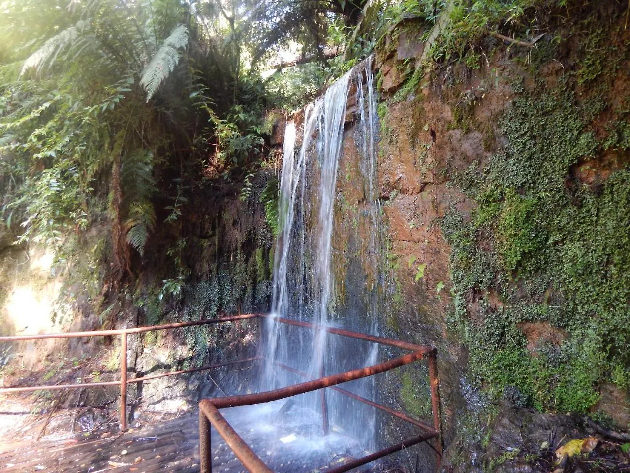Hotel Platanus Campos do Jordao 3*,